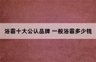 浴霸十大公认品牌 一般浴霸多少钱